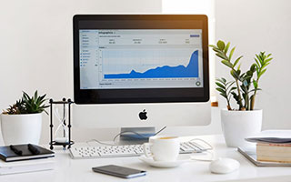 新手入门指南：开云娱乐